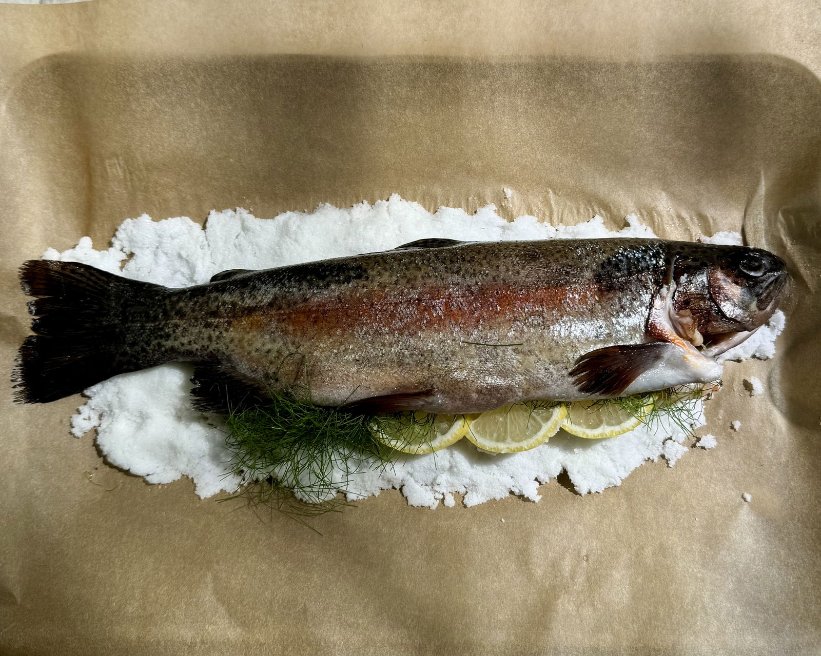 Image of Salt baking is a surprising simple & elegant technique to cook rainbow trout or any whole fish