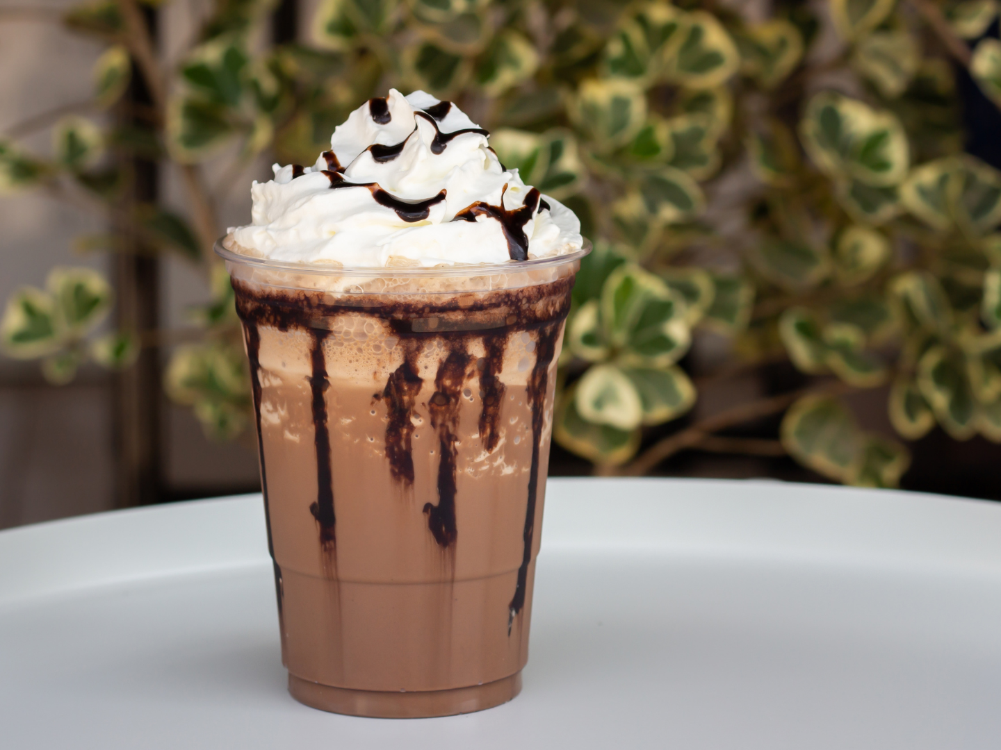Wabi Coffee Recipes: Iced White Chocolate Mocha Wabi Coffee Recipes: Iced White Chocolate Mocha