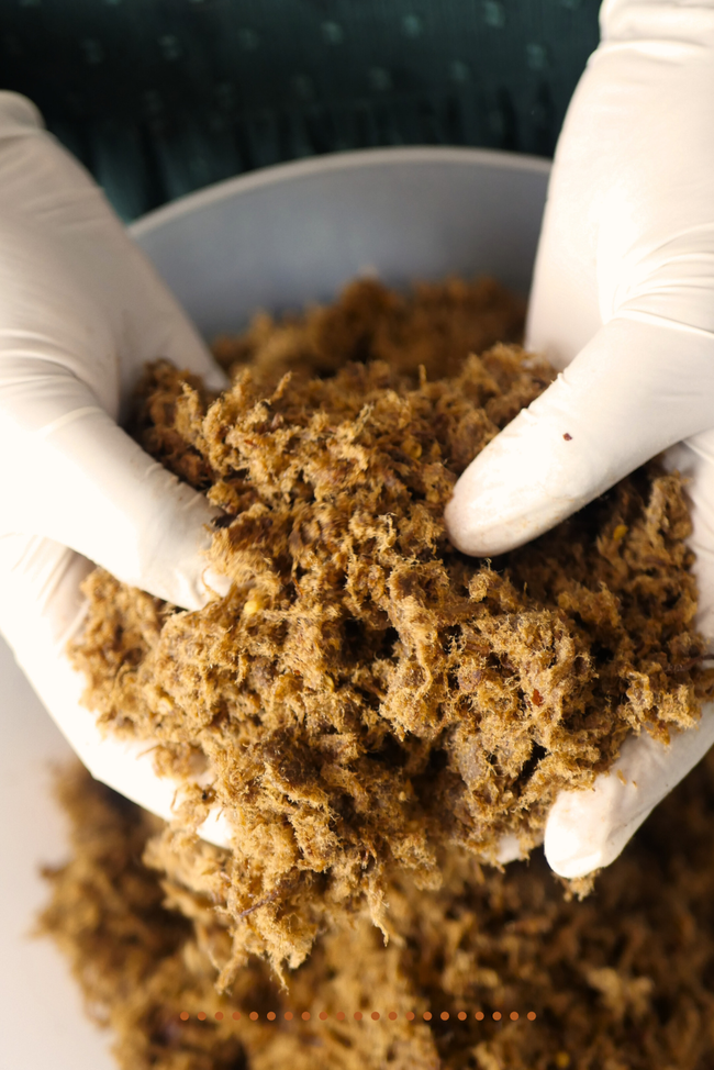 Image of Get a Taste of Dambun Nama: A Northern Nigerian Delight!