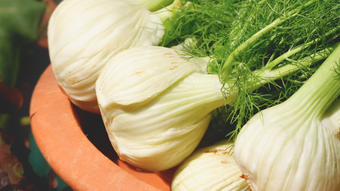 Image of Braised Fennel