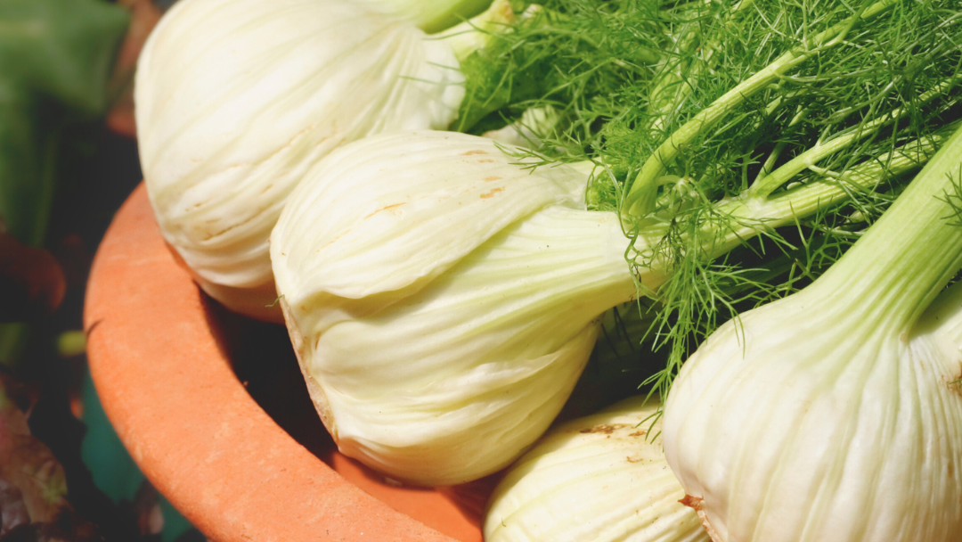 Braised Fennel