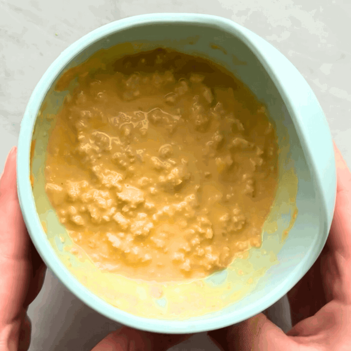 No Cook Beef Puree Bowl