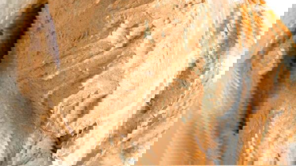 Image of Tandoori Marinated Turkey