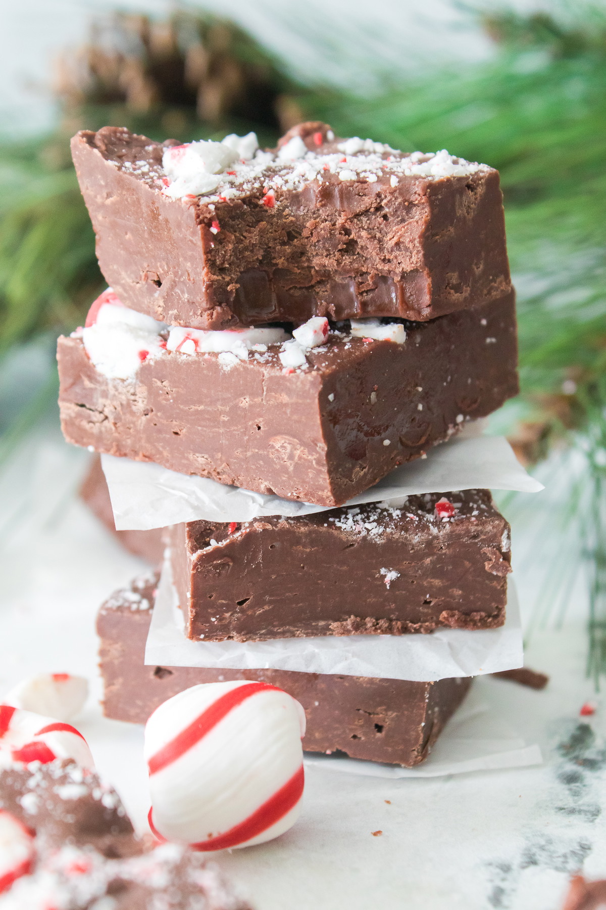 Chocolate Peppermint Fudge 