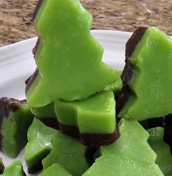 Image of Keto Mint Chocolate Fudge with Collagen Recipe