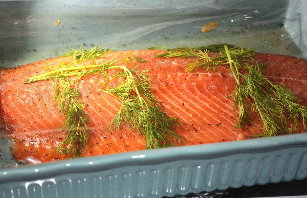 Salmon Gravlax with Fresh Dill