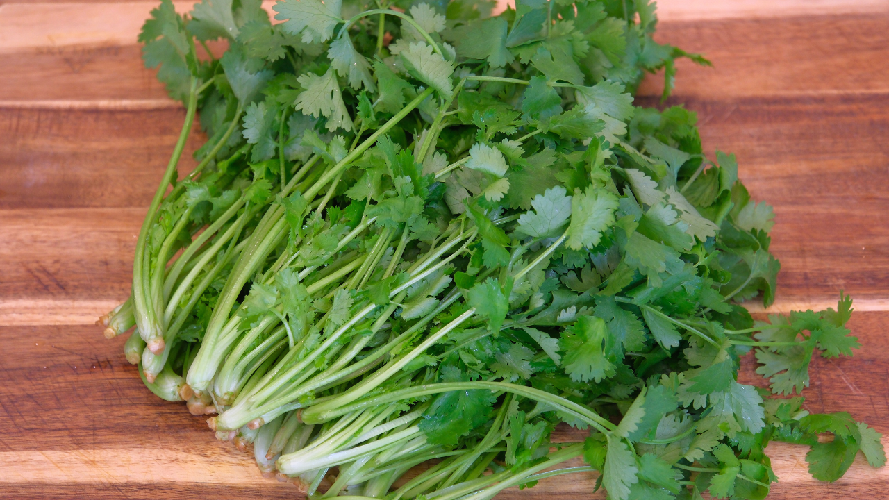 Image of How to Preserve Cilantro (Stays Good for 5 Months)