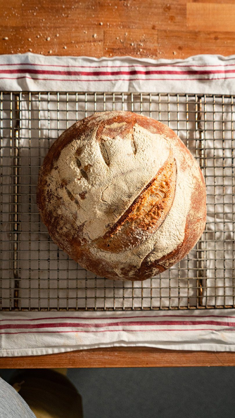 Sourdough Bread