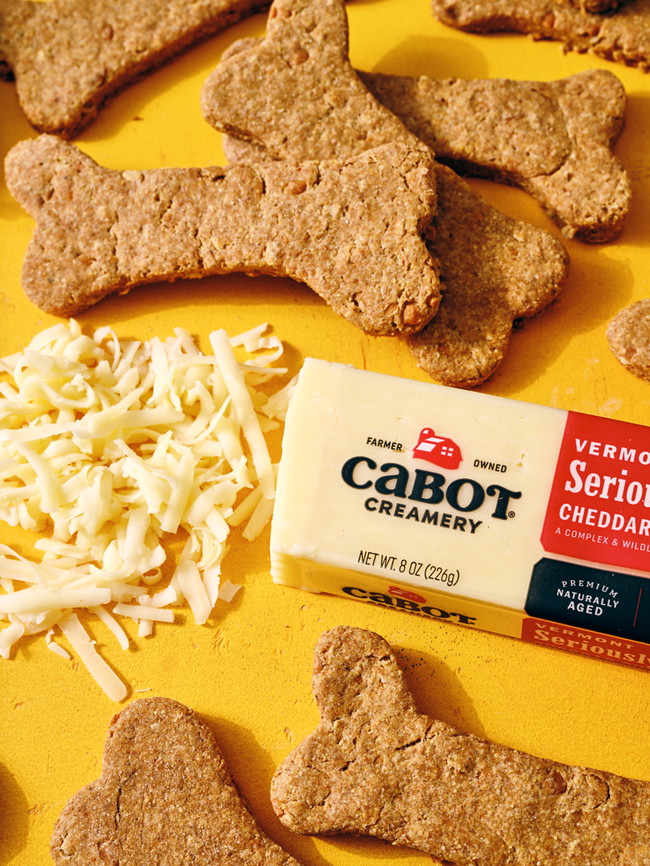 Image of Cheddar Pup Treats