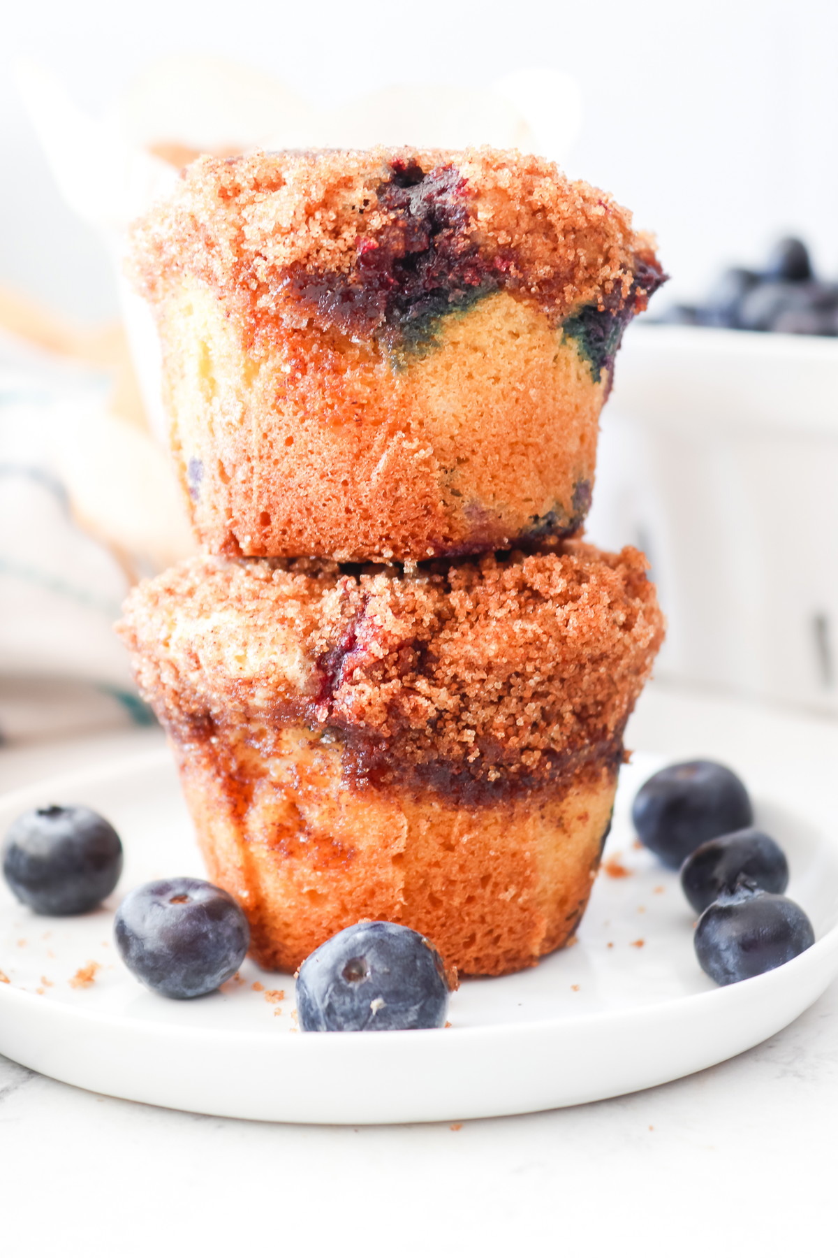Quick & Easy Homemade Blueberry Muffins Recipe