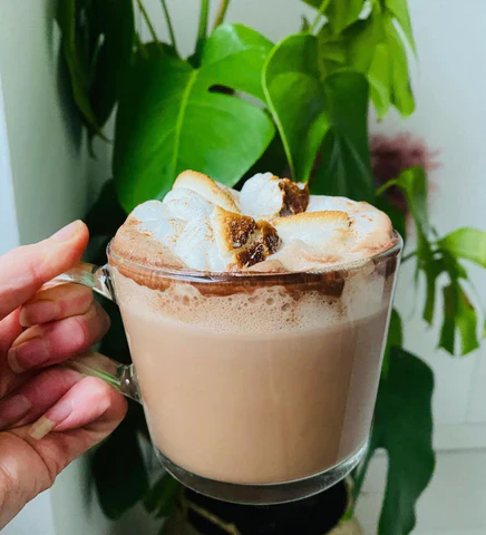Image of Hot Cacao + Collagen 