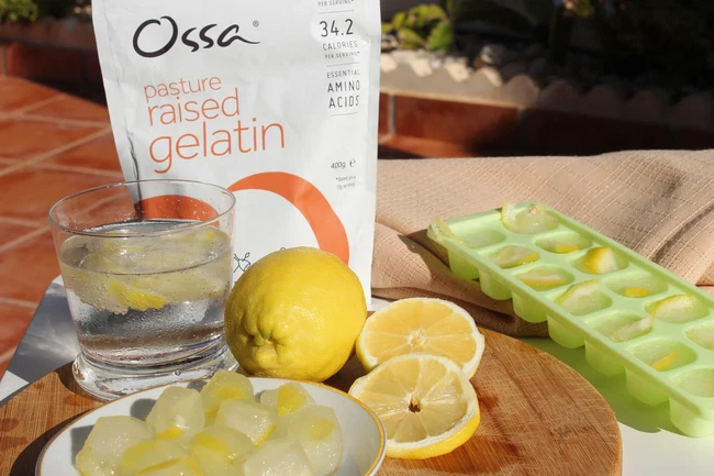 Image of Slow-melt Gelatine Ice Cubes