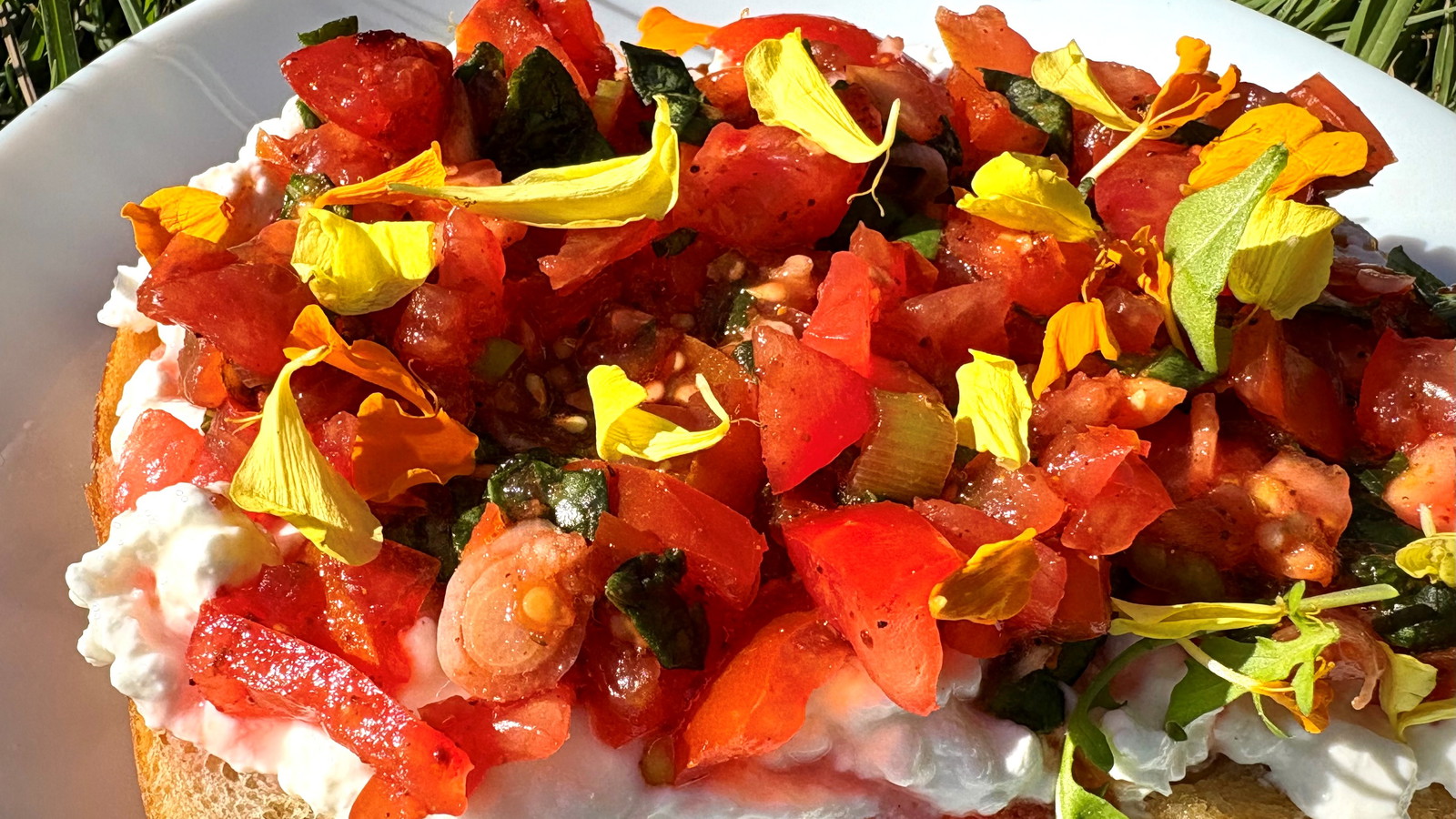 Image of Beetroot Bruschetta