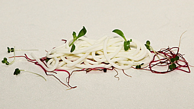 Image of Parmesan Spaghetti