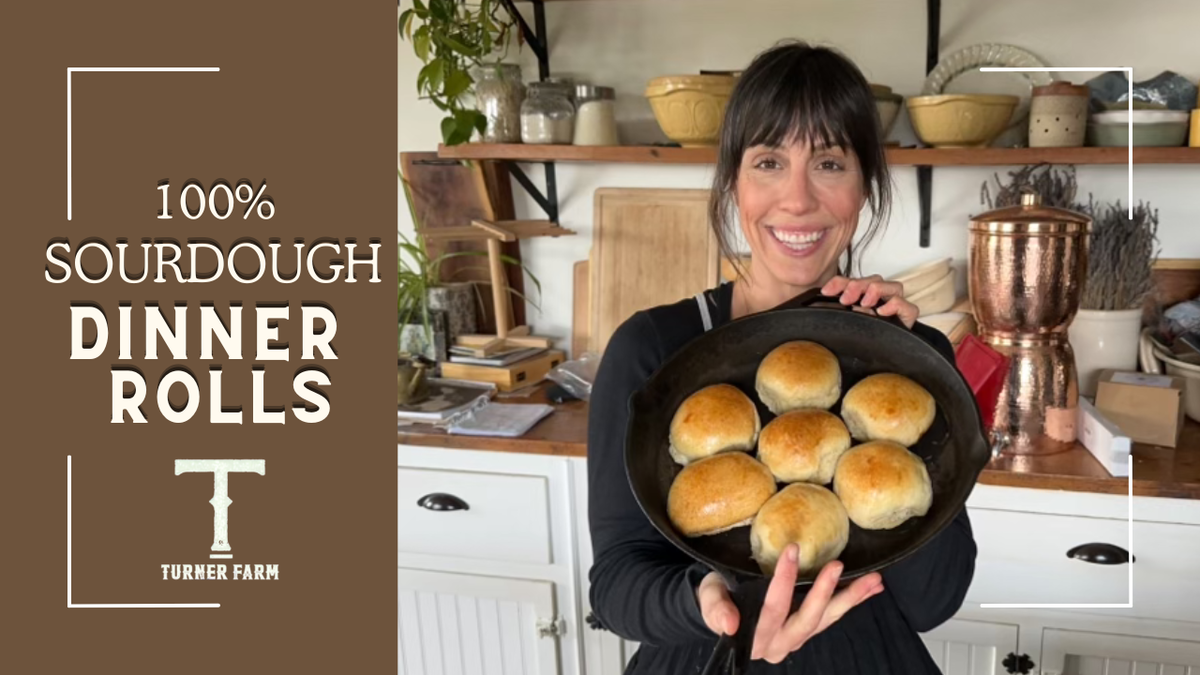 100% Homemade Sourdough Dinner Rolls