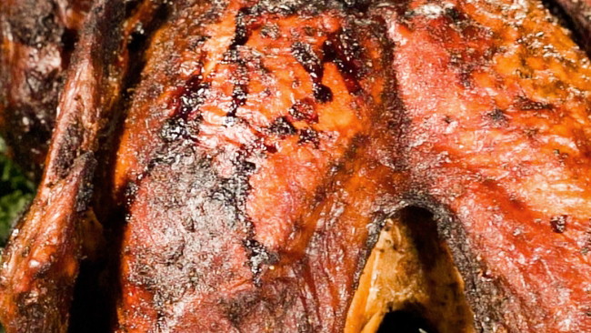 Roast Turkey by PlugNGrill Turbo E Electric Grill