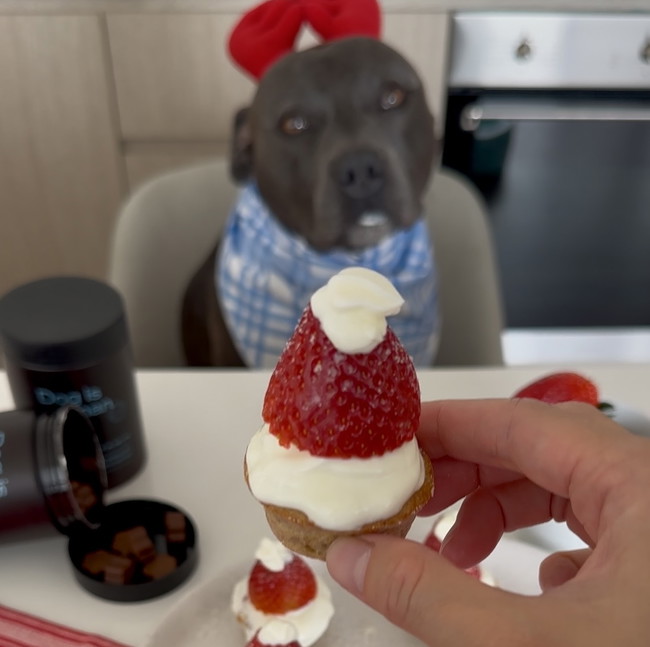 Image of 🎅🏼Strawberry Santa Pupcakes