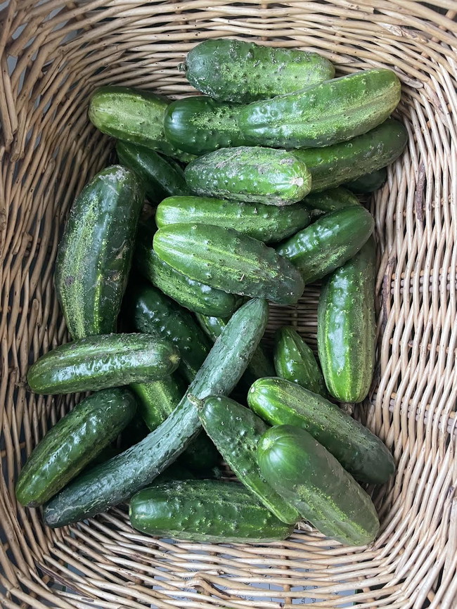 Image of Homestead Pickles