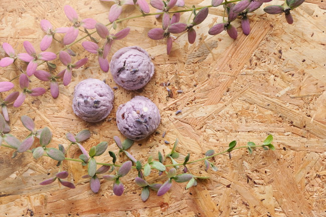 Image of Lavender Cookie Ice Cream