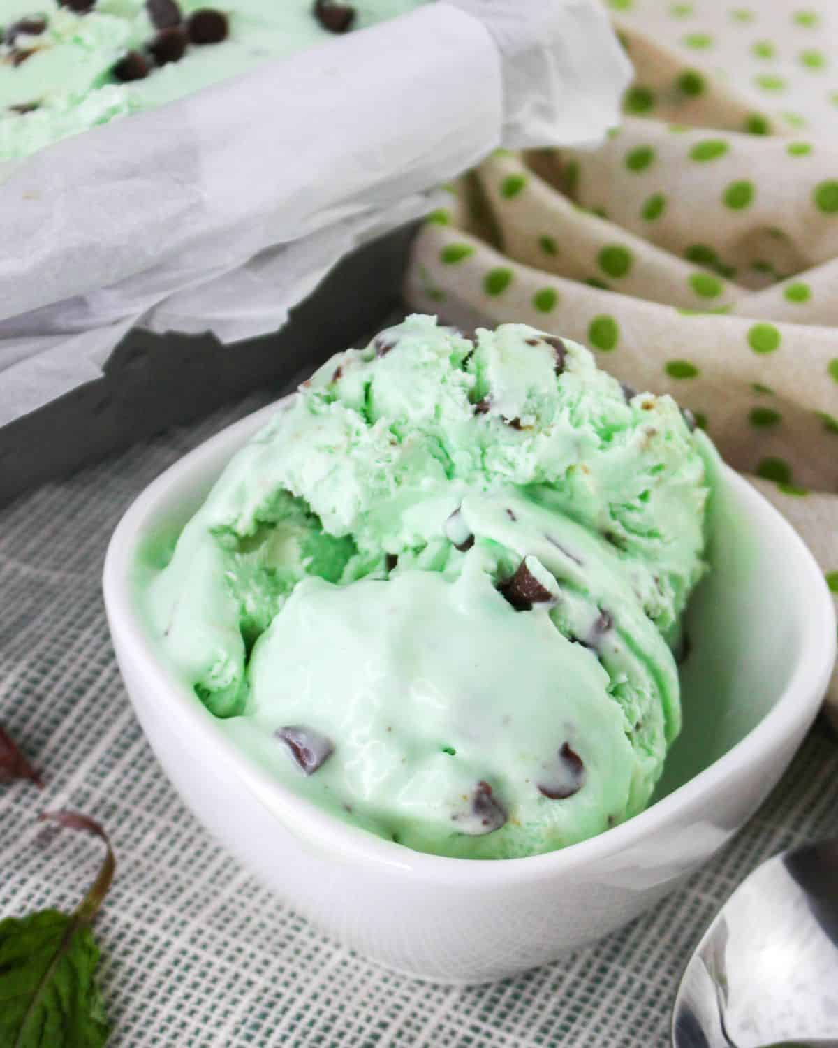 Grasshopper Ice Cream