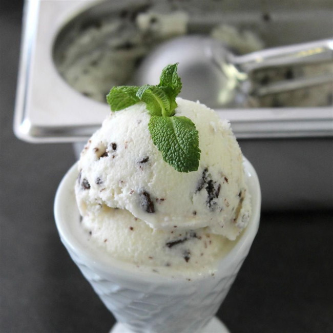 Image of Coconut Mint Chip Ice Cream