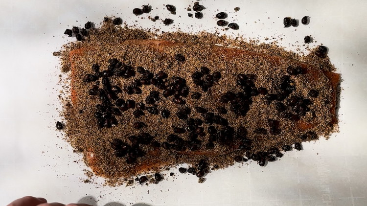 Image of Lay the steelhead loin on top of the cure mix. Cover the fillet generously with more of the cure mix and a handful of whole Chicatana ants.