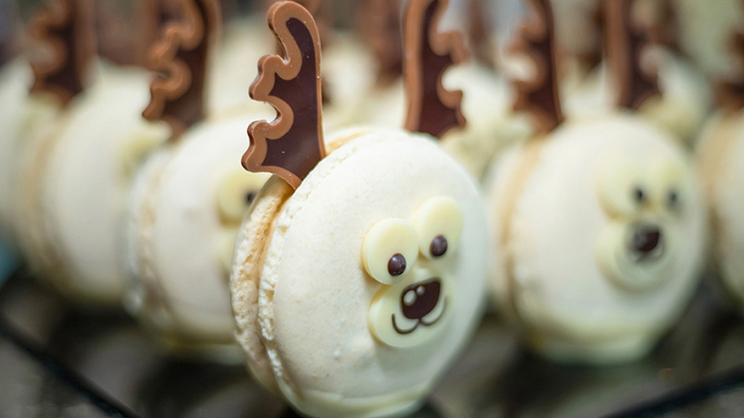 Image of Tiramisu Macaron Reindeer