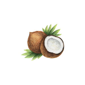 Coconut Margarita