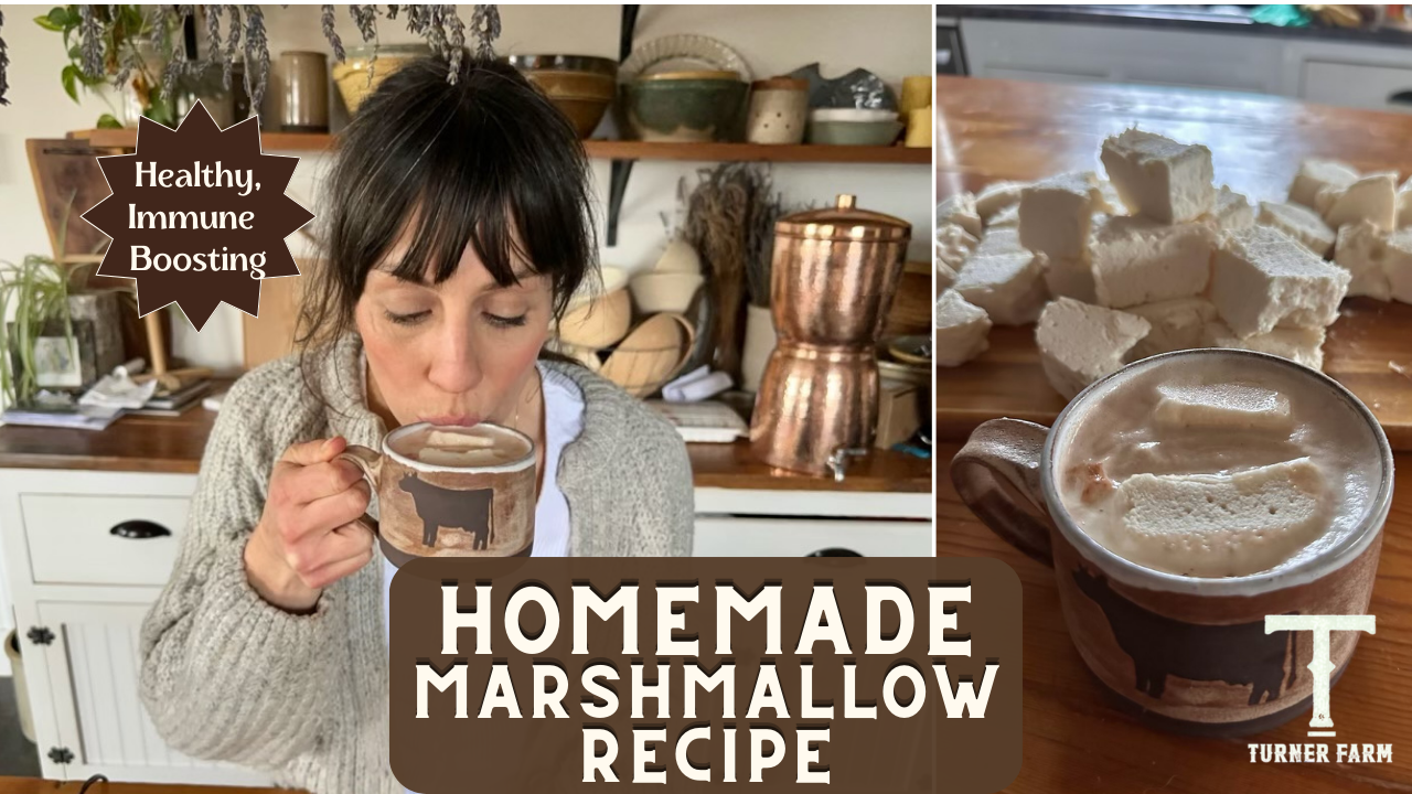 Image of Healthy, Immune Boosting Homemade Marshmallow Recipe