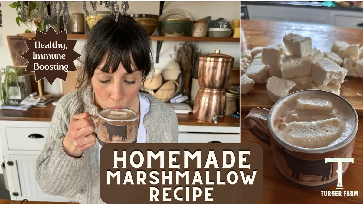 Healthy, Immune Boosting Homemade Marshmallow Recipe