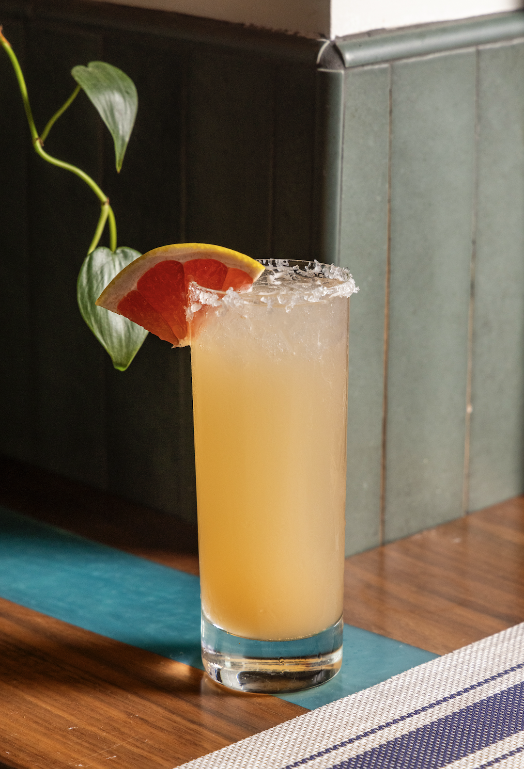 Sunlit Paloma
