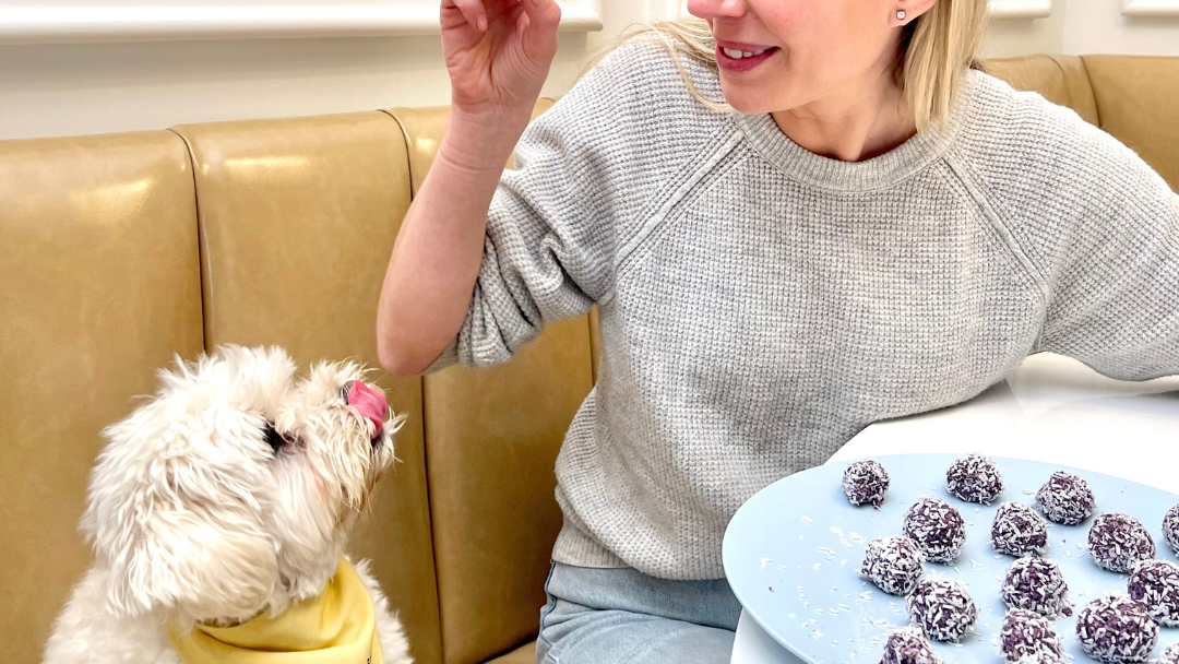 Image of No Bake Blueberry Treat Balls Dog Treats with Blueberries