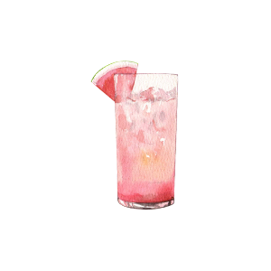 Image of Watermelon Gin and Tonic