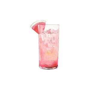 Watermelon Gin and Tonic