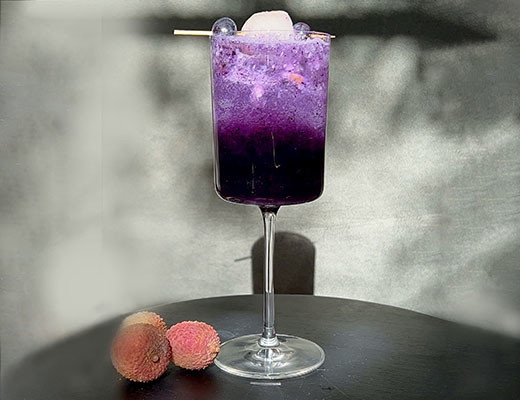 Image of Blueberry Lychee Fizz Mocktail