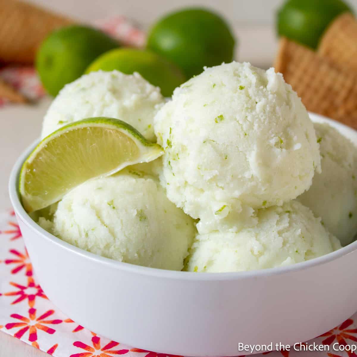 Lime Beer Sorbet