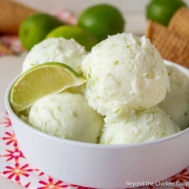 Image of Lime Beer Sorbet