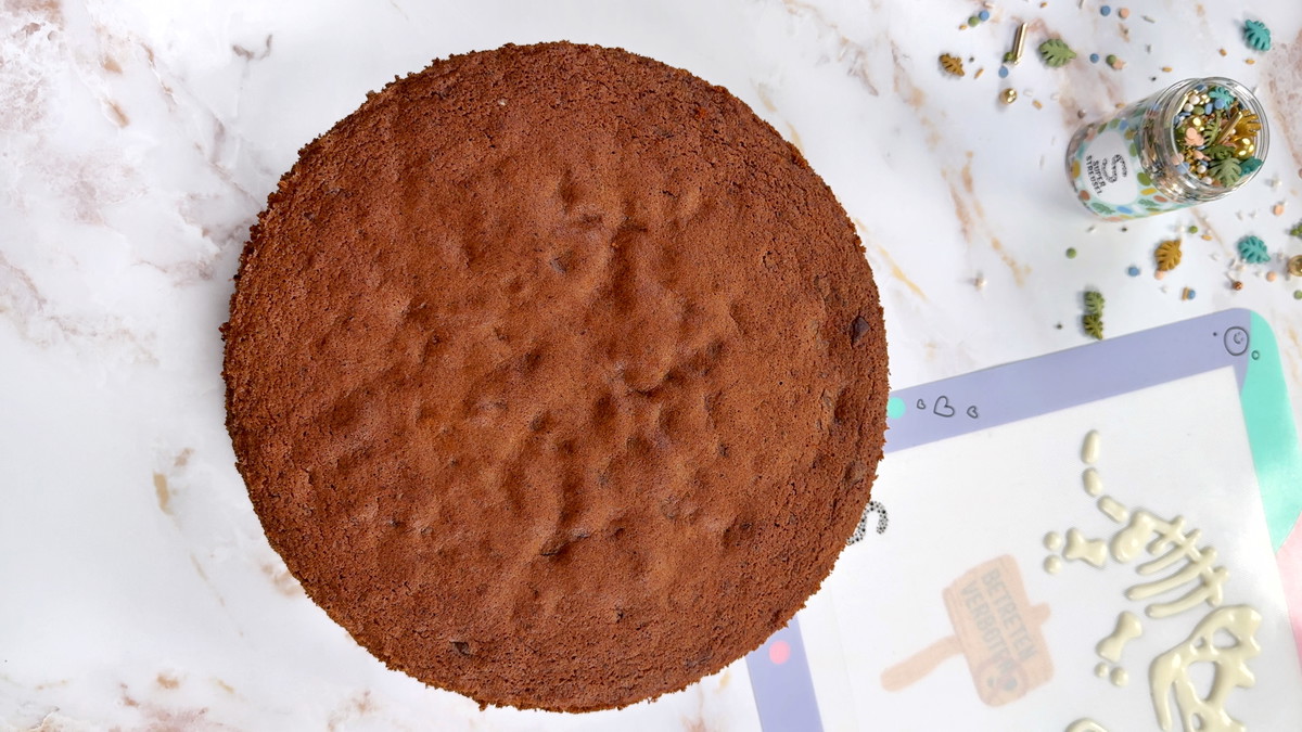 Schoko Kuchen für 24cm Springform - Grundrezept