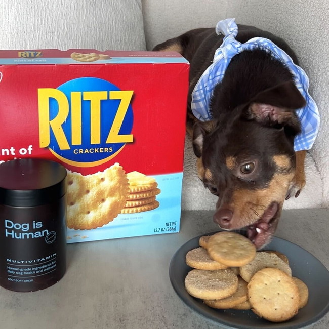 Image of 💛Ritz-Inspired Crackers