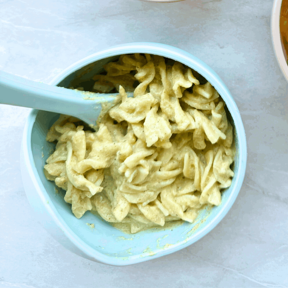 Salmon Puree Pasta Sauce