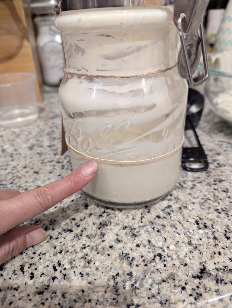 Image of Wrap the rubber band around the jar use it as a mark to mark the current sourdough line. This will show you when the sourdough starts to rise.