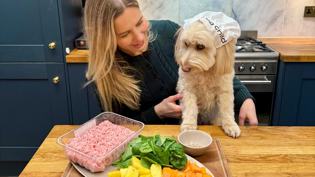 Image of Homemade Balanced Dog Food Pork & Pineapple Meal