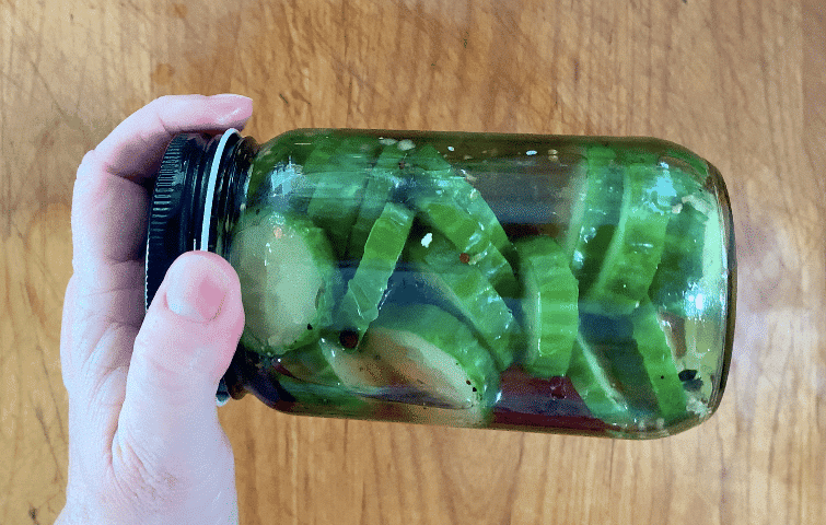 Quick Pickle