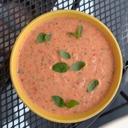 Roasted Red Pepper Yogurt Onion Dip