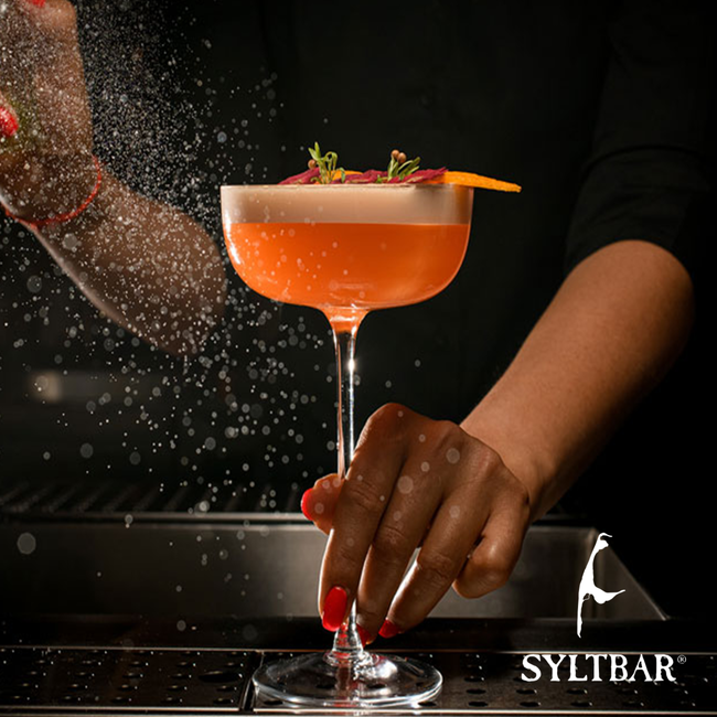 Image of SYLTBAR Paper Plane