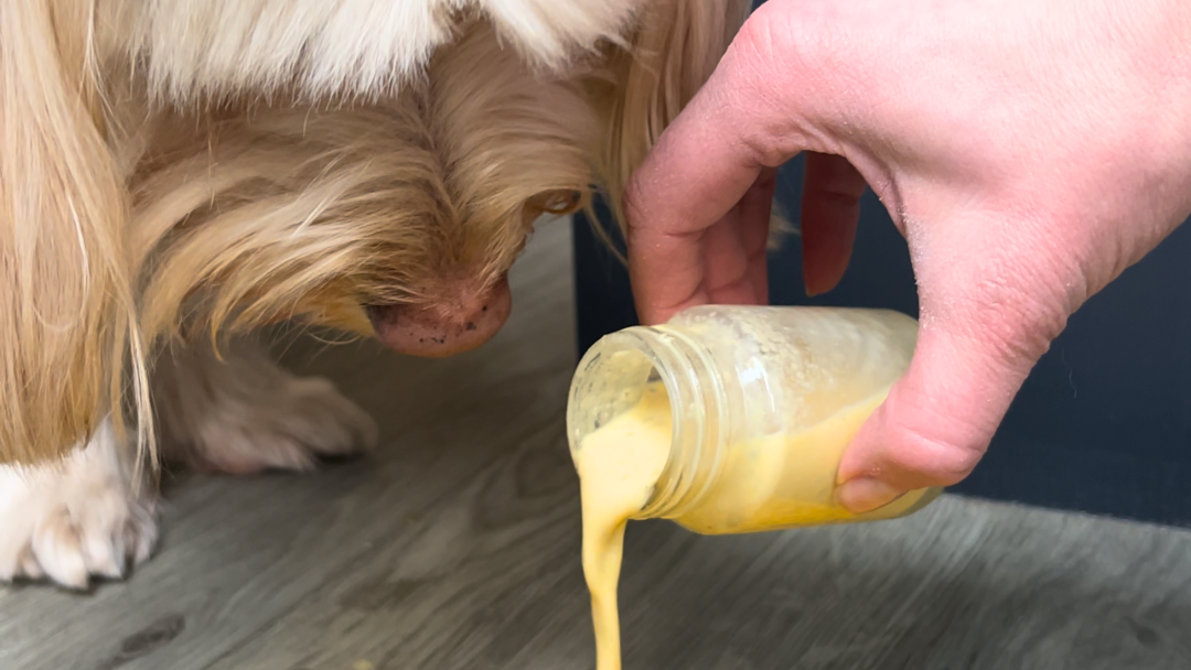 Image of Gut-Boosting Wellness Shot for Dogs