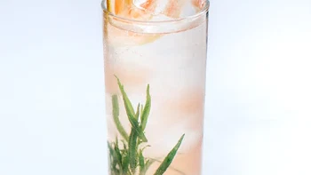 Porthilly Spirit Vodka & Soda with Tarragon