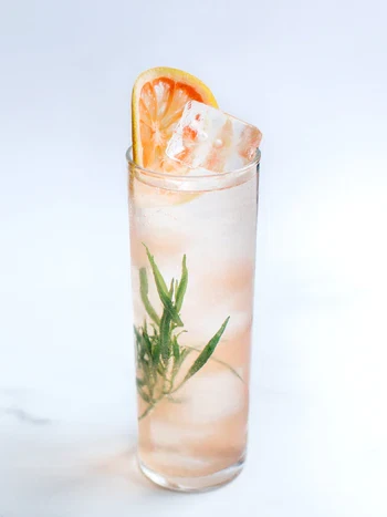 <h1>VODKA & SODA WITH TARRAGON</h1>