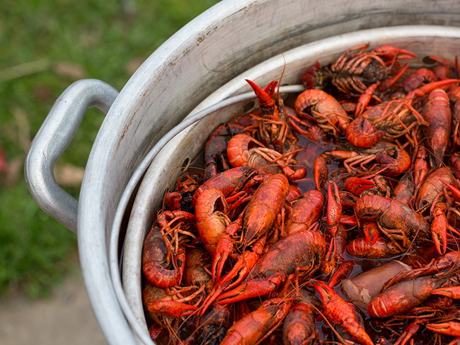 Image of Basic Crawfish Boil Recipe