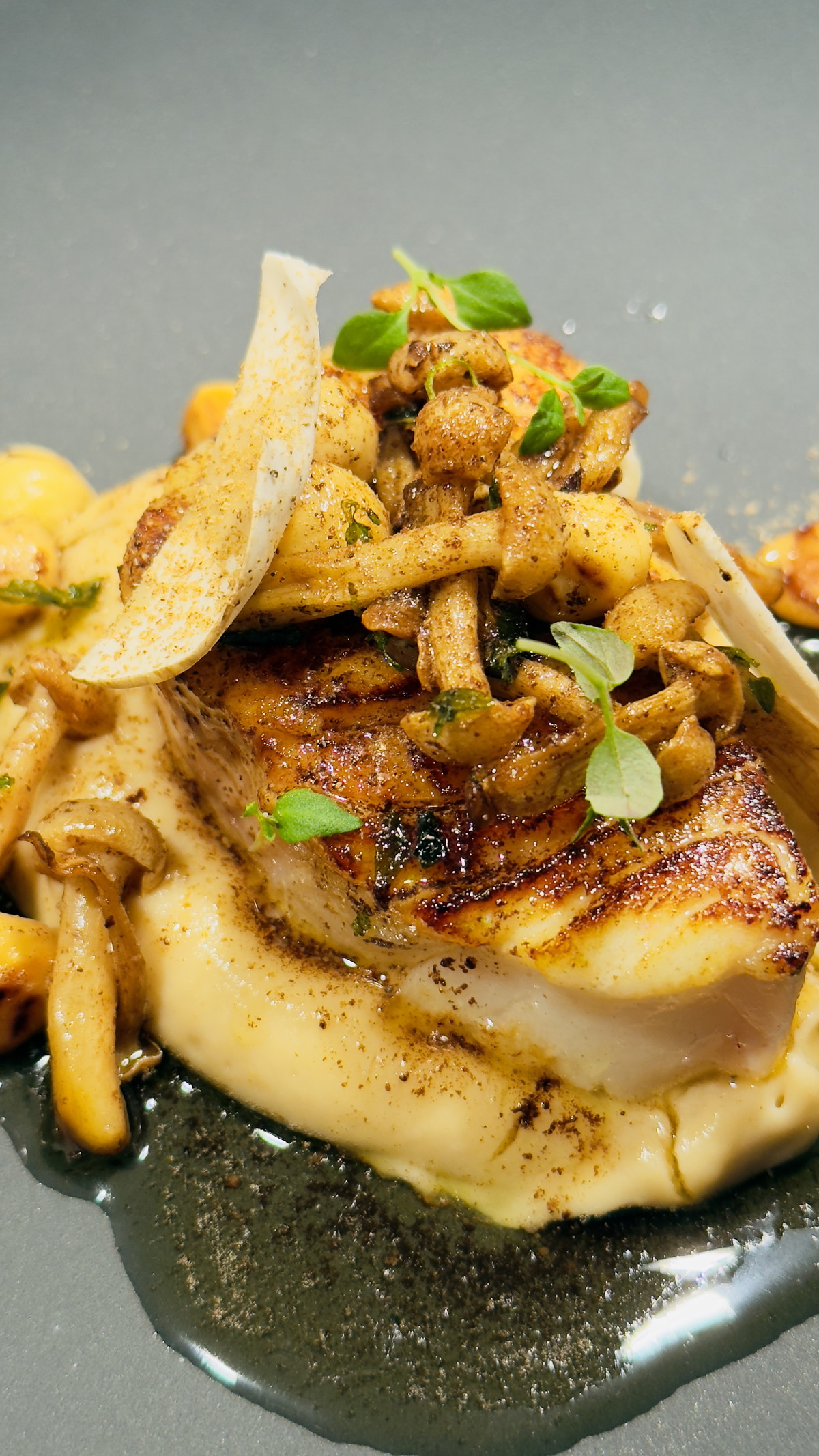 Honey Caramelized Cod with Miso Artichoke Purée and Hazelnuts